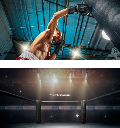 UFC 사진